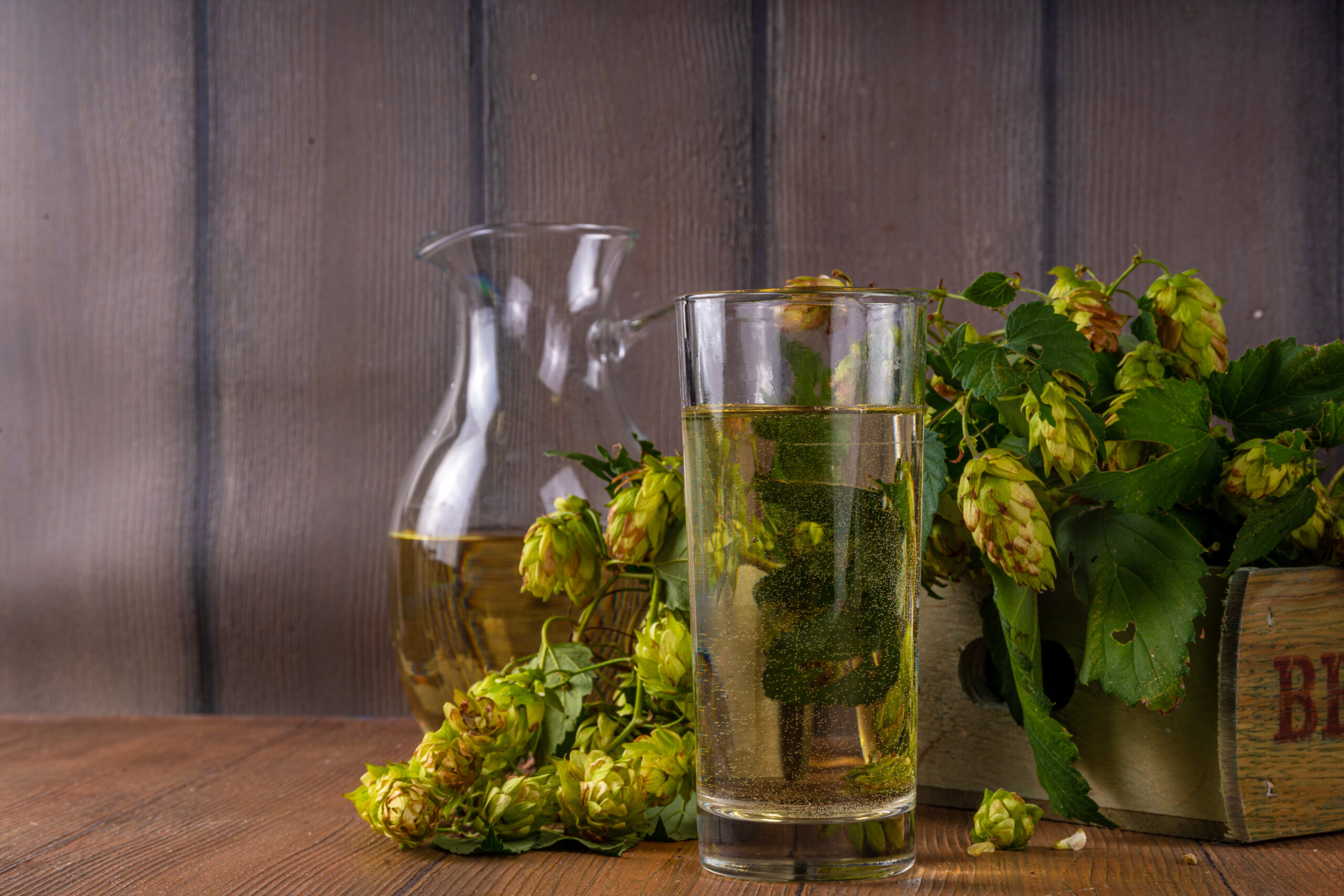 where to find hop water in bucks county